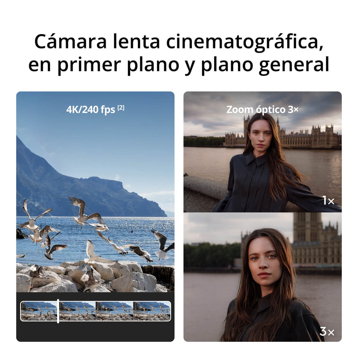 Pack Estándar Osmo Pocket 4P - DJI México